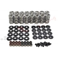 .660" Lift BTR Platinum LS Spring Kit; Titanium Ret., .505" ID .060" Thick Loc., Brown/Black Seals
