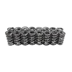 BTR Platinum Dual Valve Springs Only